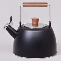 Чайник agness 3,0 л со свистком и складывающейся ручкой, индукционное капсульное дно 937-912