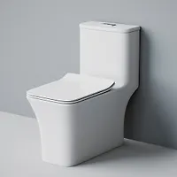 Монолит EvaGold SM9615, безободковый, сиденье ДП, с гофрой и подводкой