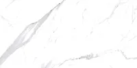 Керамический гранит STATUARIO white 600х1200 арт.ST0L00G01 (1,44кв.м)