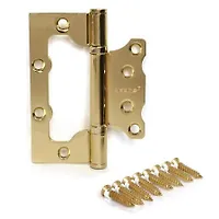 Петля накладная АПЕКС 100*75*2,5-B2-Steel-G