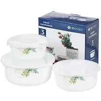 Стк ОАЗИС Набор салатников 3пр (19см; 16см;14см) пласт.крышки BY14HDW-3-T36 DANIKS