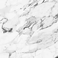 Керамический гранит MONTE BIANCO WHITE 600х600 арт.MB0H00M01 (1.44кв.м)