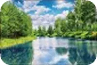 Фотообои 9л. "Лесное озеро" 300*201