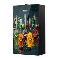 Газовая колонка Ballu GWH 10 Fiery Glass Curry (Принт:Специи)
