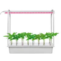 Светильник для растений светодиодный с подст. ULT-P44B-10W/SPSB IP40 AQUA SIMPLE WHITE (UL-00004498)