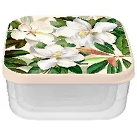 Комплект контейнеров для продуктов Магнолии 4шт (0,3л+0,45л+0,65л+1л) 43318360710