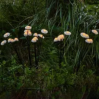 Садовый светильник на солнечной батарее USL-S-832/PM030 FAIRY MUSHROOMS SET25 UL-00011677