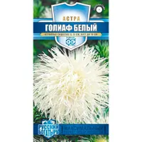 Астра Голиаф белый, однолетняя, (игольчатая) 0,3 г серия Русский богатырь "Гавриш"