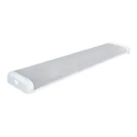 Светильник СПО 120х2 под LED лампу T8 TDM (SQ0327-0704)