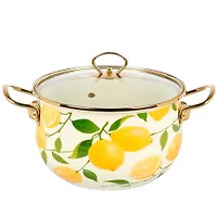 Кастрюля эмал сталь, 5 л, крышка стекло, Daniks, Лимоны, индукция (513825)