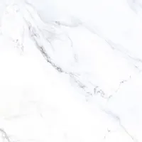 Керамический гранит IGUANA BAZE WHITE 600х600 арт.IA0H00V05 (1.44кв.м)
