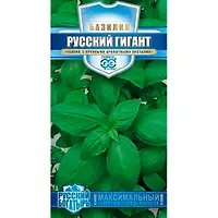 Базилик Русский гигант, зеленый 0,1 г серия Русский богатырь "Гавриш"