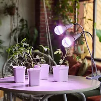 Лампа светодиодная для растений форма "A" LED-A60-10W/SPFR/E27/CL PLP01WH
