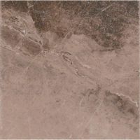 Керамогранит Лава св.коричневый арт.739561 (450х450)