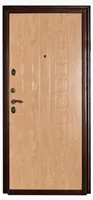 Дверь металлическая 60М (1020 5586) МДФ Ель карпатская 970 L