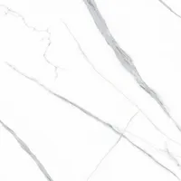 Керамогранит Casati Ceramica Statuario Gold 600х600х9 полировка (1.44 кв.м)