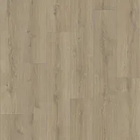 Линолеум PRAKTIKA BRUNO 1 2,0м (60 кв.м.)