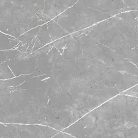 Керамогранит ProGRESS Marble line grey NR0382 600х600 светло-серый матовый (1,44 кв.м)