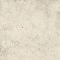 Керамический гранит DACITE BEIGE арт.DC0H02M01 590х590 (1.392кв.м)