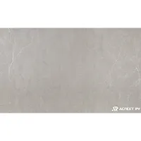 Обои Палитра 30286-22 10 ВВ ГТ ФО Аспект Deluxe 1,06х10 м
