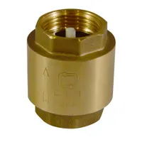 Обратный клапан 1-1/2" CTM CBCV0112