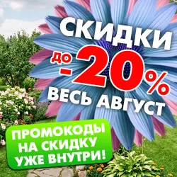 Август - Скидки
