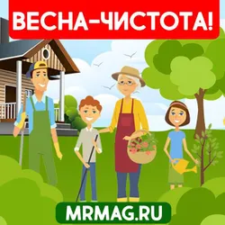 Красоту и чистоту дарим своему двору!