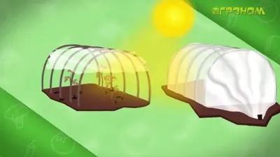 Как выбрать парник?