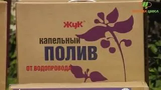 Капельный полив от водопровода Жук Комплектация, монтаж и подключение!