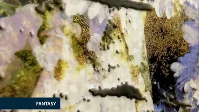 Коллекция Fantasy панно, макро