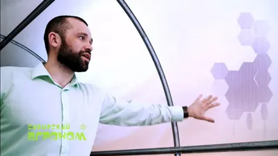 Что такое Чудотеплица