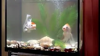 Герметик "Момент"GERMENT" Aquarium