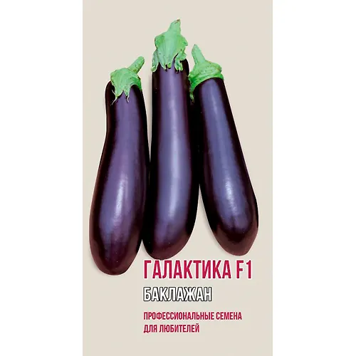 Baklazhan GALAKTIKA F1 5 sht (ts/p 4275)_1
