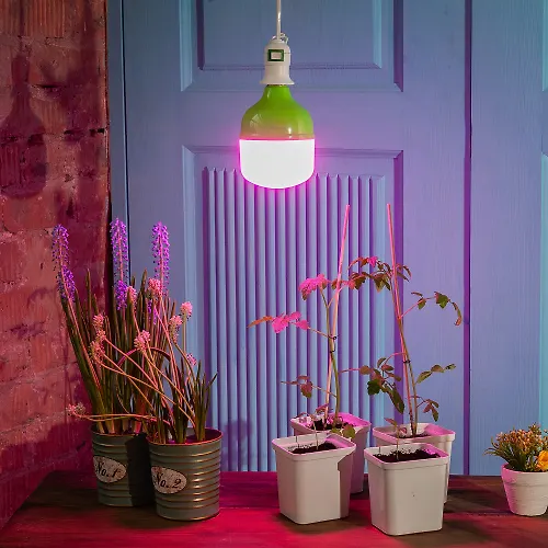 Lampa svetodiodnaya dlya rastenij, IP54. Forma 