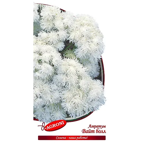 Ageratum Vajt bol (0,1g) (ts/p 4889)_1