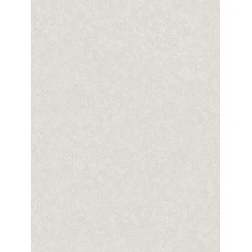 Oboi Palitra 10140-21 AS 0,53*10 m (20 sht)_1