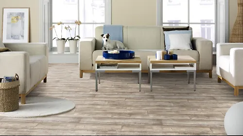 Linoleum Tarkett Idilliya NOVA Kloni 3 2,5m (57,5 kv.m)_3