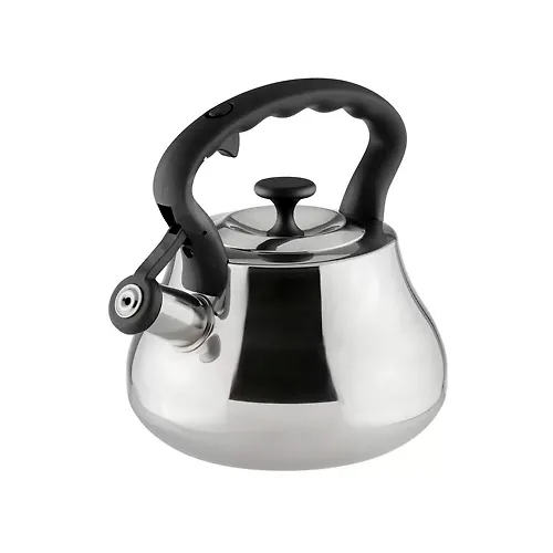 CHajnik nerzhaveyuschaya stal, 2.8 l, so svistkom, zerkalnyj, nejlon, Daniks, induktsiya, GS-04052A (48019_1