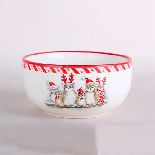 Salatnik p/up 580 ml, Nordic owls ZFC044-50_1