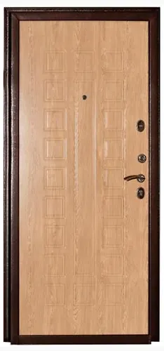 Dver metallicheskaya 60M (1020 5586) MDF El karpatskaya 870 R_3
