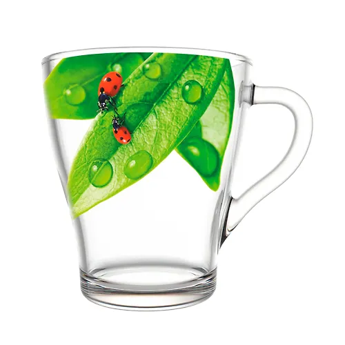 Nabor kruzhek dlya chaya 250ml. art.1649/6-D 