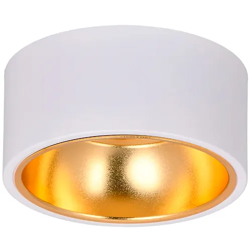 LIGHTING Svetilnik 4017 nakladnoj potolochnyj pod lampu GX53 belyj/zoloto Iek_1