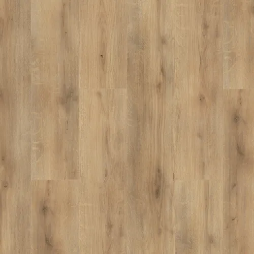 Kvarts-vinilovoe SPC pokrytie PROGRESSIVE HOUSE NICOLE planka 1220 x 200,8 x 4,4 (1,959 kv.m) NL_1