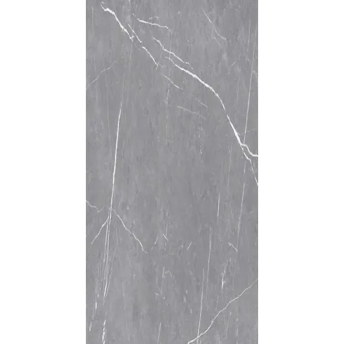 Keramicheskij granit ALCORA GRIS 600h1200h9 matovyj art.ETSTN1203MT60120 (1.44kv.m)_1