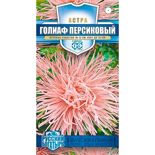 Astra Goliaf persikovyj, odnoletnyaya (igolchataya) 0,3 g seriya Russkij bogatyr 