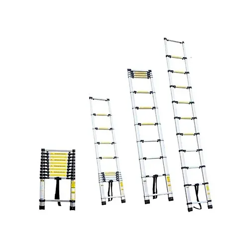 Lestnitsa teleskopicheskaya 10stupenej (2,9m)_1