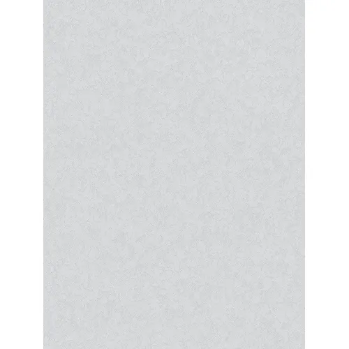 Oboi Palitra 10140-41 AS 0,53*10 m (20 sht)_1
