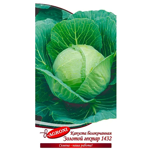 Kapusta b/k Zolotoj gektar 1432 (0,5g) (ts/p 4322)_1