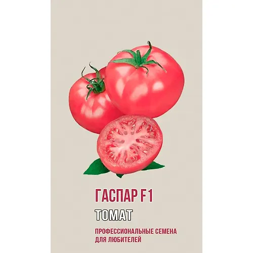 Tomat GASPAR F1 5sht (ts/p 1014)_1