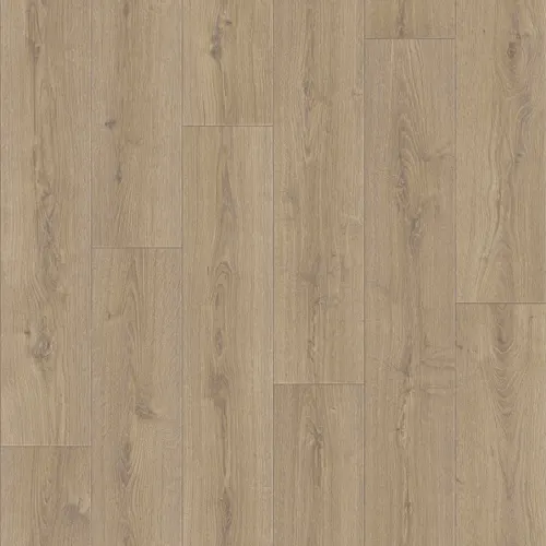Linoleum PRAKTIKA BRUNO 1 2,5m (75 kv.m.)_1